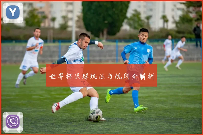 世界杯买球玩法与规则全解析