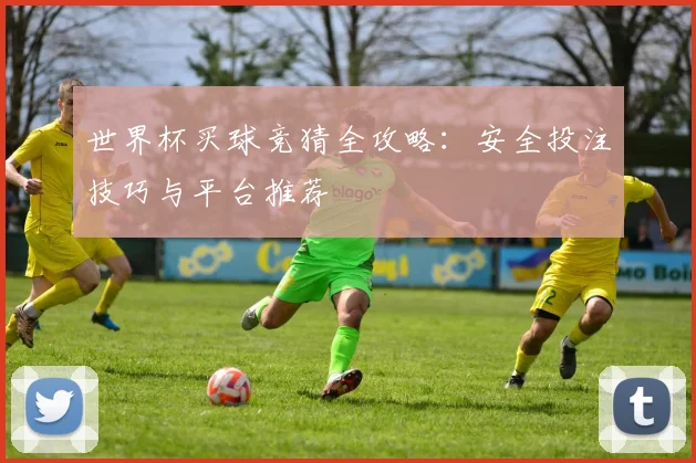 世界杯买球竞猜全攻略:安全投注技巧与平台推荐
