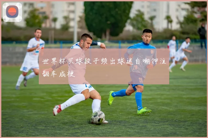 世界杯买球段子频出球迷自嘲押注翻车成梗
