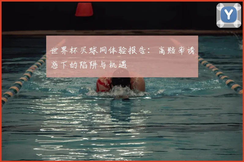 世界杯买球网体验报告:高赔率诱惑下的陷阱与机遇
