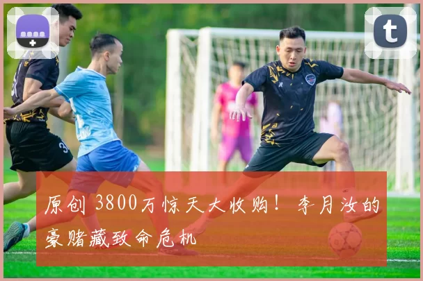 原创 3800万惊天大收购！李月汝的豪赌藏致命危机