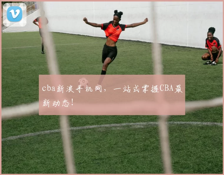 cba新浪手机网，一站式掌握CBA最新动态！