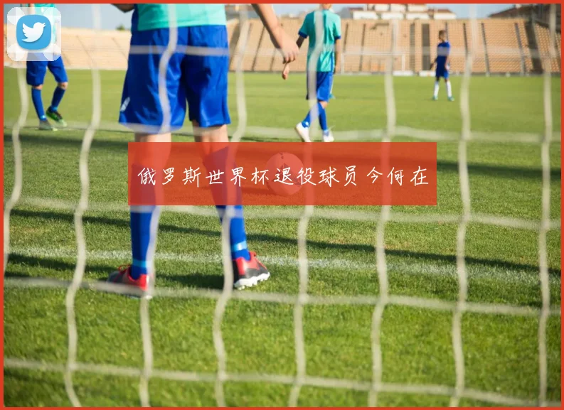 俄罗斯世界杯退役球员今何在